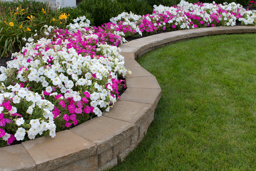 front of house landscaping