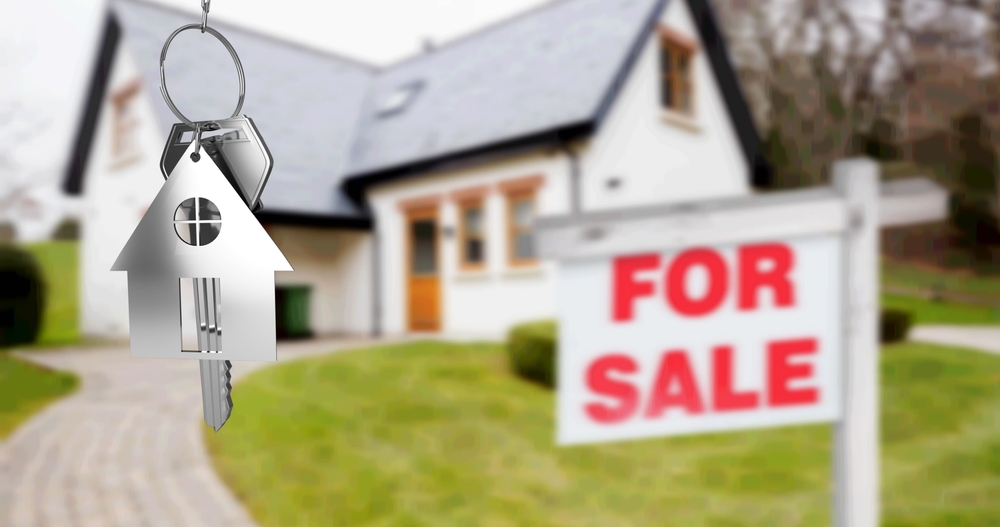 Turnkey Interior Solutions